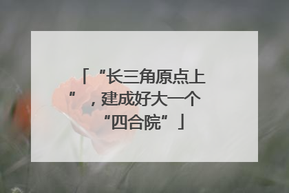 “长三角原点上”，建成好大一个“四合院”