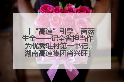 “高速”引擎，菌菇生金——记全省担当作为优秀驻村第一书记、湖南高速集团肖兴旺