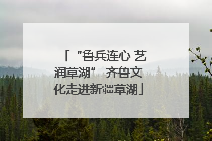 “鲁兵连心 艺润草湖” 齐鲁文化走进新疆草湖