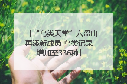 “鸟类天堂”六盘山再添新成员 鸟类记录增加至336种