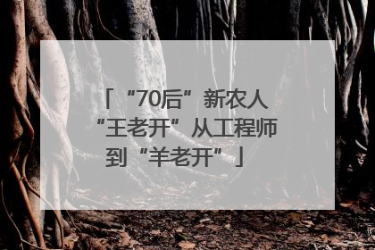 “70后”新农人“王老开”从工程师到“羊老开”