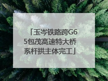 玉岑铁路跨G65包茂高速特大桥系杆拱主体完工