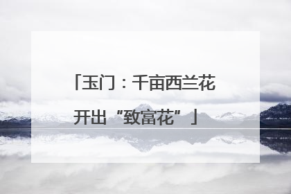 玉门：千亩西兰花开出“致富花”