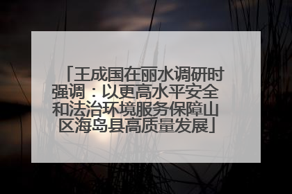 王成国在丽水调研时强调：以更高水平安全和法治环境服务保障山区海岛县高质量发展