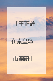 王正谱在秦皇岛市调研