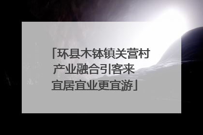 环县木钵镇关营村 产业融合引客来 宜居宜业更宜游