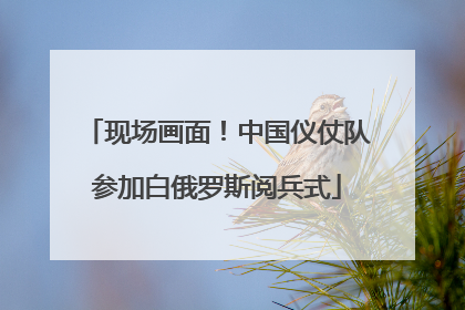现场画面！中国仪仗队参加白俄罗斯阅兵式