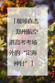 现场直击：郑州航空港高考考场外的“定海神针”