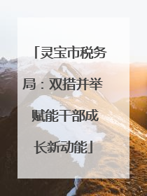 灵宝市税务局：双措并举 赋能干部成长新动能