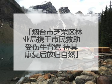 烟台市芝罘区林业局携手市民救助受伤牛背鹭 待其康复后放归自然