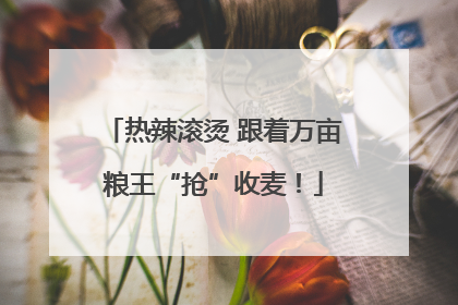 热辣滚烫 跟着万亩粮王“抢”收麦！