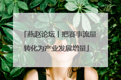 燕赵论坛丨把赛事流量转化为产业发展增量