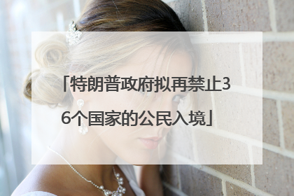 特朗普政府拟再禁止36个国家的公民入境