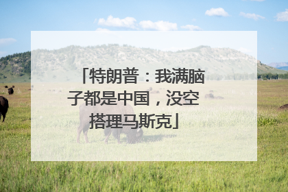 特朗普：我满脑子都是中国，没空搭理马斯克