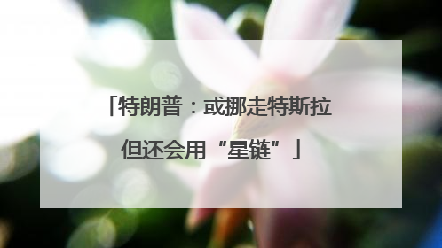 特朗普：或挪走特斯拉 但还会用“星链”