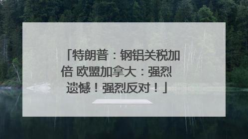 特朗普：钢铝关税加倍 欧盟加拿大：强烈遗憾！强烈反对！