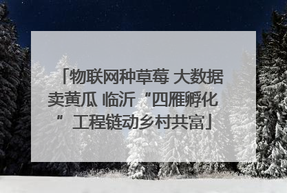 物联网种草莓 大数据卖黄瓜 临沂“四雁孵化”工程链动乡村共富
