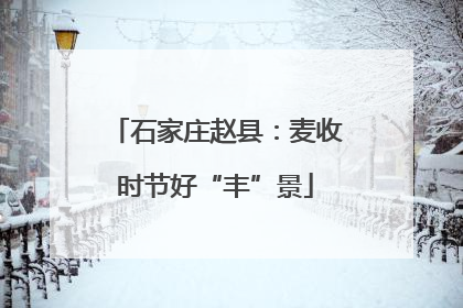 石家庄赵县：麦收时节好“丰”景
