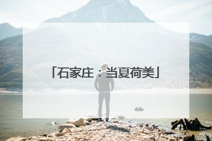石家庄：当夏荷美