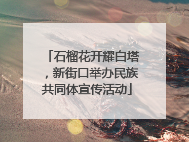 石榴花开耀白塔，新街口举办民族共同体宣传活动