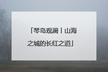 琴岛观澜丨山海之城的长红之道