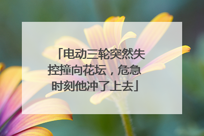 电动三轮突然失控撞向花坛，危急时刻他冲了上去