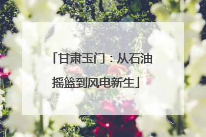 甘肃玉门：从石油摇篮到风电新生
