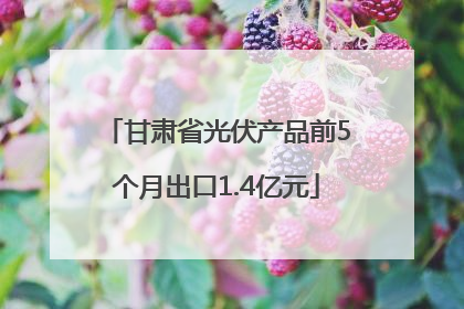 甘肃省光伏产品前5个月出口1.4亿元
