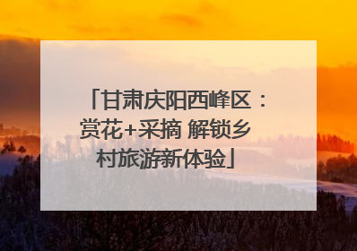甘肃庆阳西峰区：赏花+采摘 解锁乡村旅游新体验