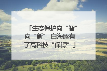 生态保护向“智”向“新” 白海豚有了高科技“保镖”