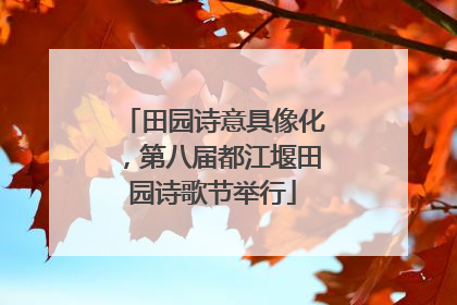 田园诗意具像化，第八届都江堰田园诗歌节举行