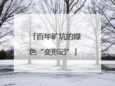 百年矿坑的绿色“变形记”