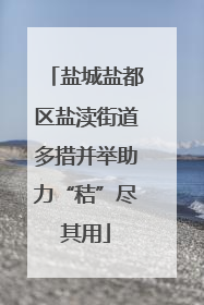 盐城盐都区盐渎街道多措并举助力“秸”尽其用