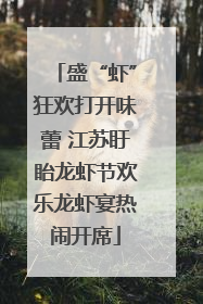 盛“虾”狂欢打开味蕾 江苏盱眙龙虾节欢乐龙虾宴热闹开席