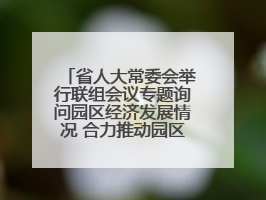 省人大常委会举行联组会议专题询问园区经济发展情况 合力推动园区经济高质量发展 王宁主持会议并讲话 王予波带队到会应询