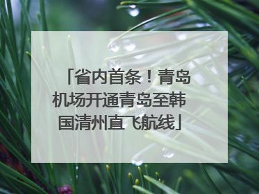省内首条！青岛机场开通青岛至韩国清州直飞航线