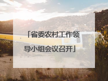 省委农村工作领导小组会议召开