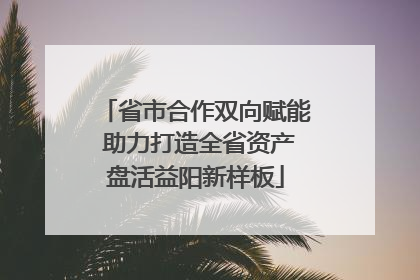 省市合作双向赋能 助力打造全省资产盘活益阳新样板