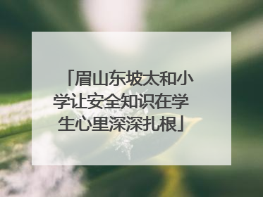 眉山东坡太和小学让安全知识在学生心里深深扎根