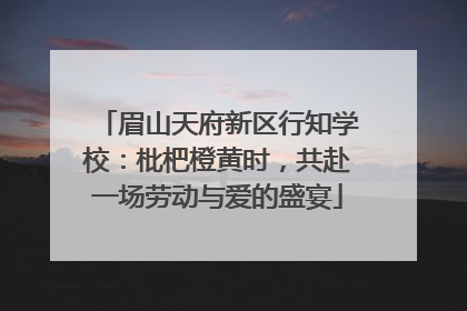 眉山天府新区行知学校：枇杷橙黄时，共赴一场劳动与爱的盛宴