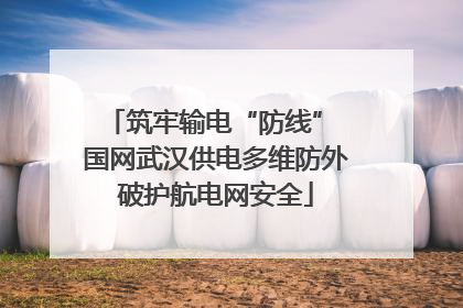 筑牢输电“防线” 国网武汉供电多维防外破护航电网安全
