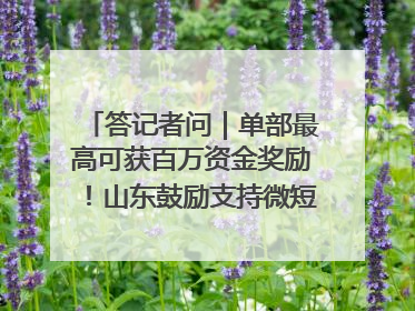 答记者问｜单部最高可获百万资金奖励！山东鼓励支持微短剧创作摄制