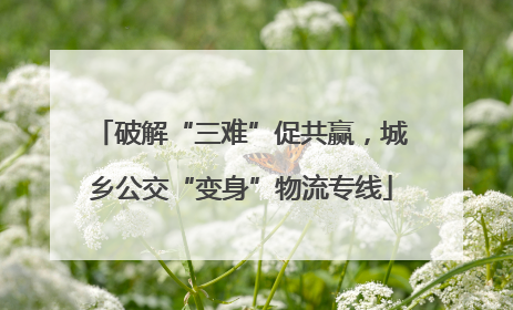 破解“三难”促共赢，城乡公交“变身”物流专线