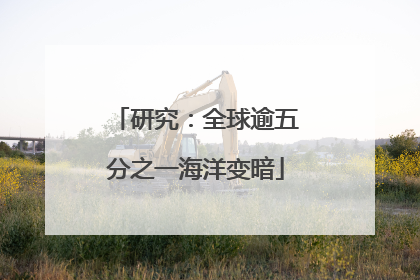 研究：全球逾五分之一海洋变暗