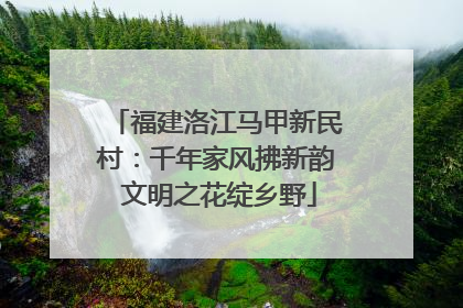 福建洛江马甲新民村：千年家风拂新韵 文明之花绽乡野