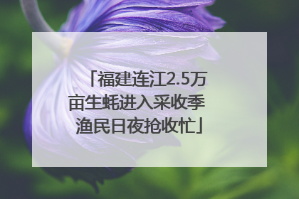 福建连江2.5万亩生蚝进入采收季 渔民日夜抢收忙