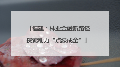 福建：林业金融新路径探索助力“点绿成金”