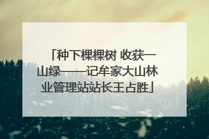 种下棵棵树 收获一山绿——记牟家大山林业管理站站长王占胜