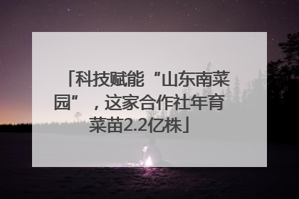 科技赋能“山东南菜园”，这家合作社年育菜苗2.2亿株