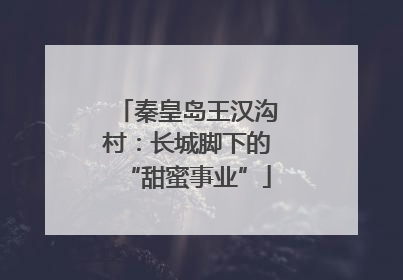 秦皇岛王汉沟村：长城脚下的“甜蜜事业”